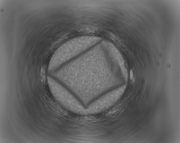 X0000085021203200703261212