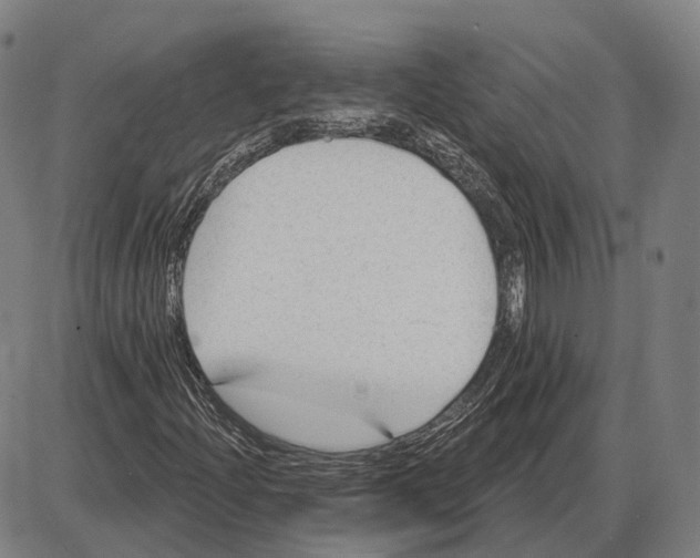 X0000085021204200703261212