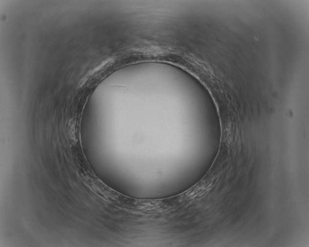 X0000085021205200703261212