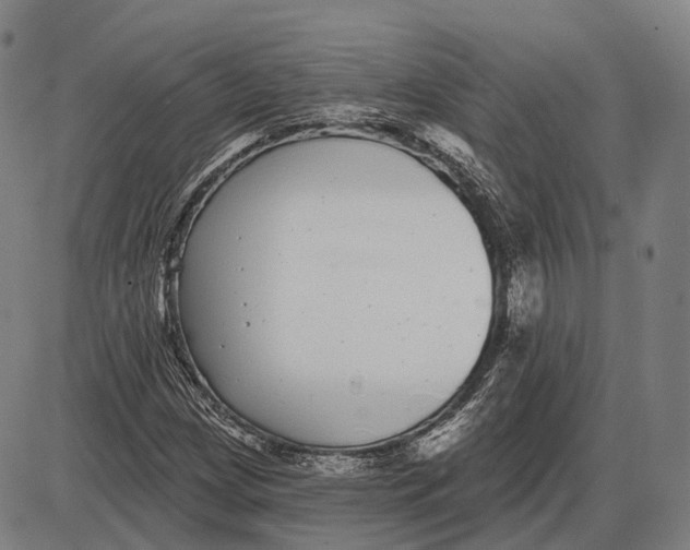 X0000085021209200703261212