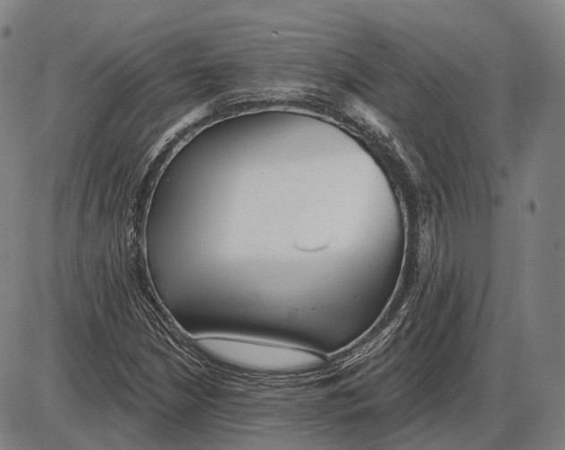 X0000085021210200703261212