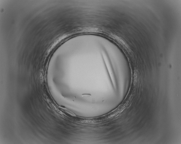 X0000085021212200703261212