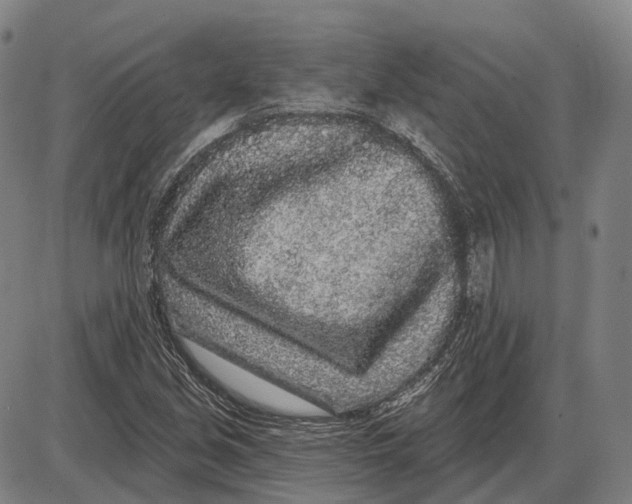 X0000085021213200703261212
