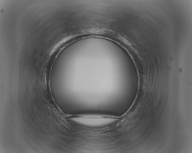 X0000085021214200703261212