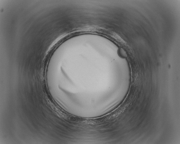 X0000085021216200703261212