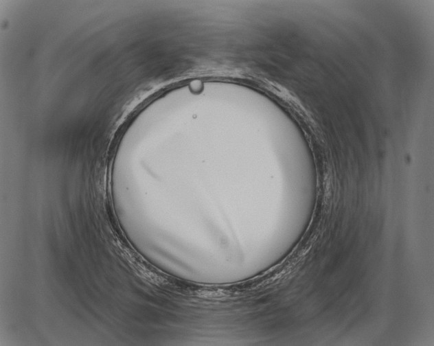 X0000085021220200703261212