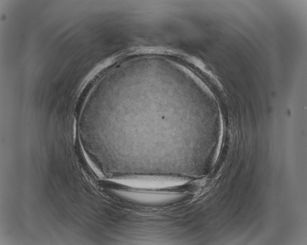 X0000085021221200703261212