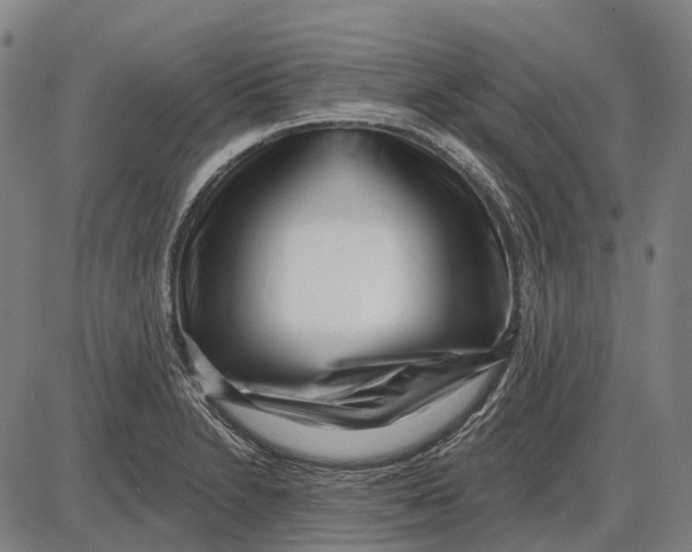 X0000085021230200703261212