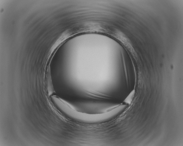 X0000085021234200703261212