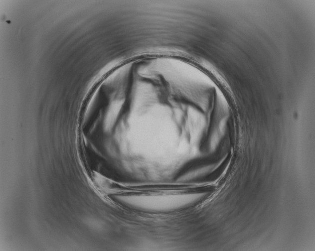 X0000085021237200703261212