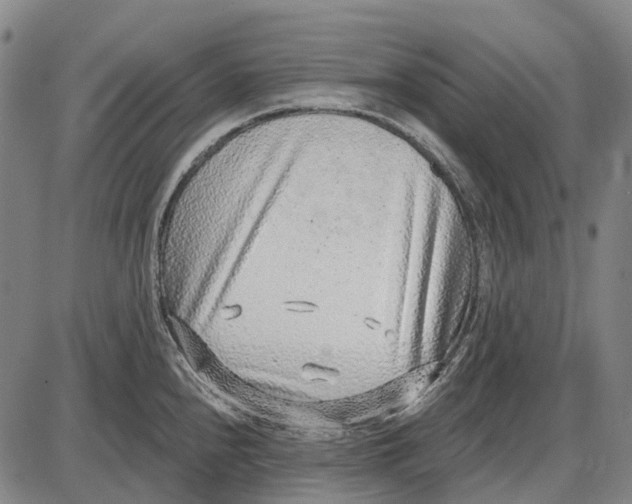 X0000085021240200703261212