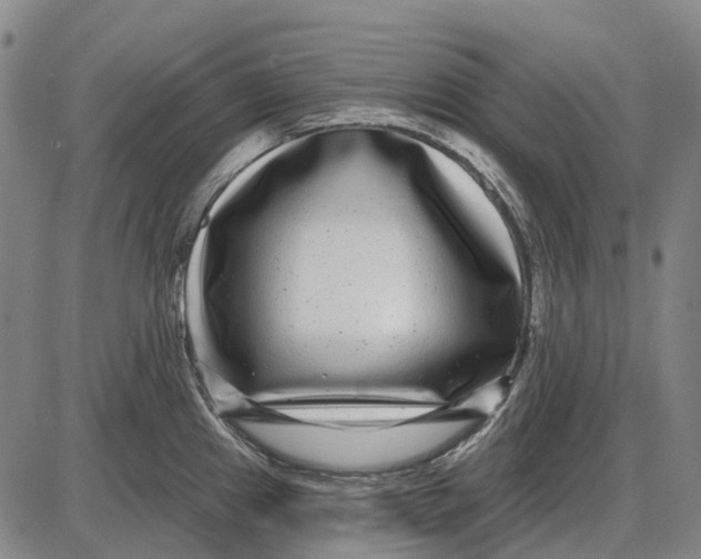 X0000085021241200703261212