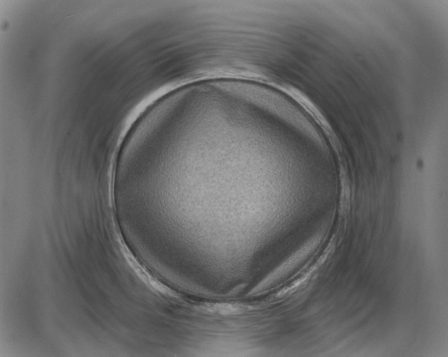 X0000085021246200703261212