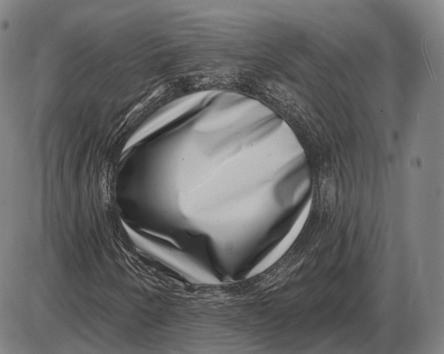 X0000085021250200703261212
