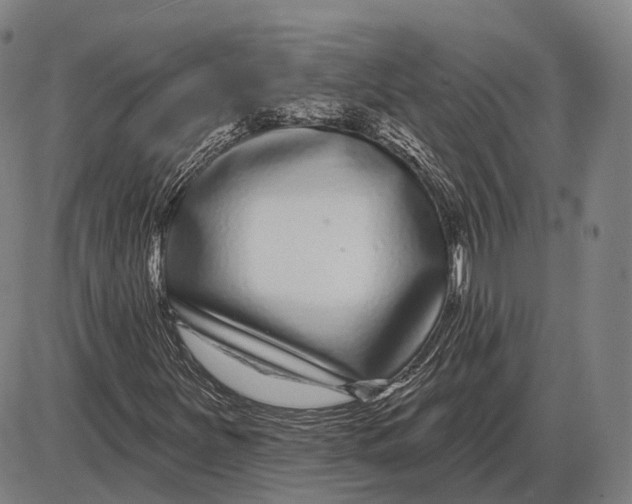 X0000085021251200703261212
