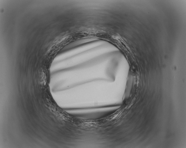X0000085021253200703261212