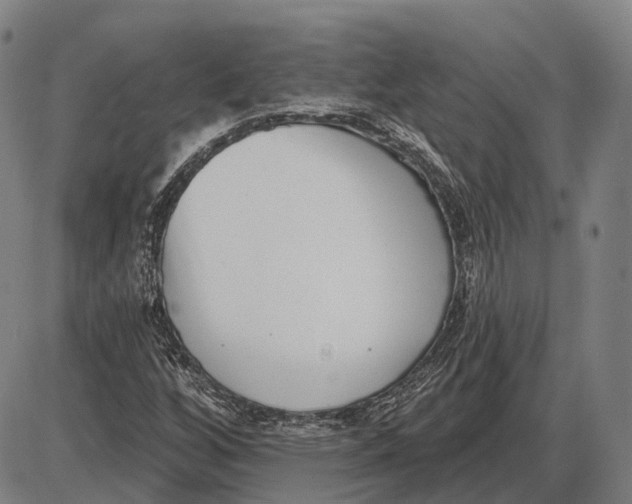 X0000085021256200703261212
