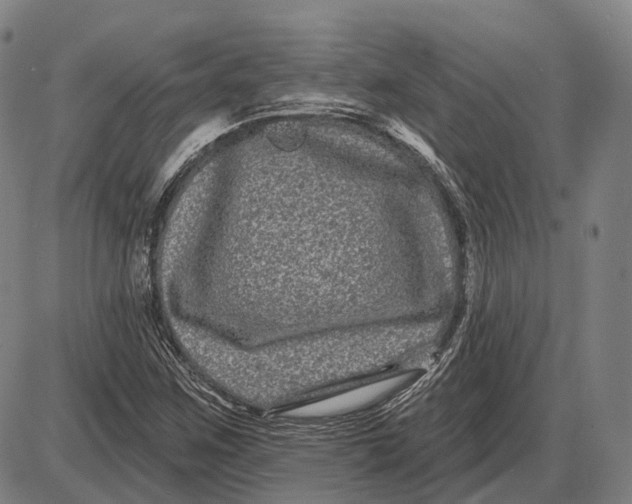 X0000085021259200703261211