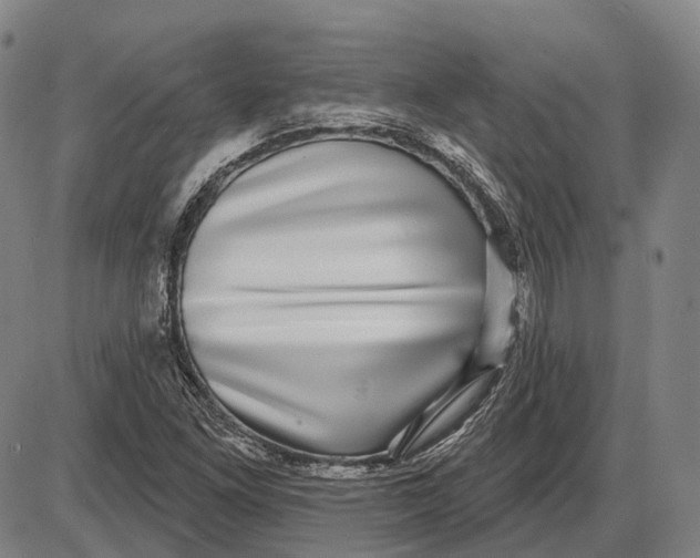 X0000085021261200703261211