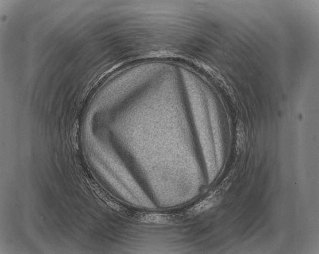 X0000085021265200703261211