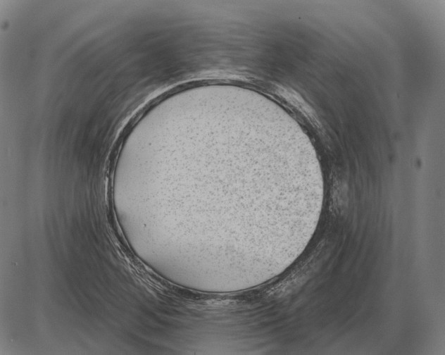 X0000085021268200703261211