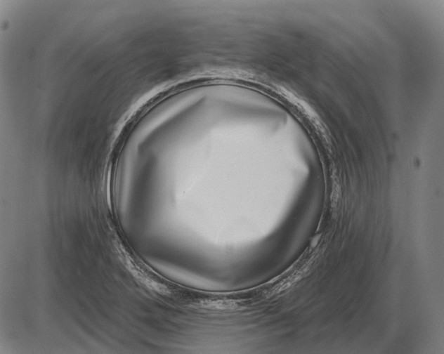 X0000085021272200703261211