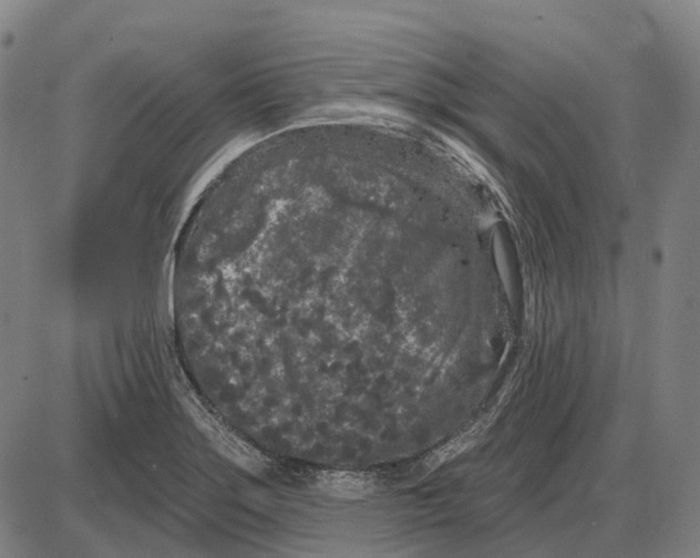 X0000085021275200703261211