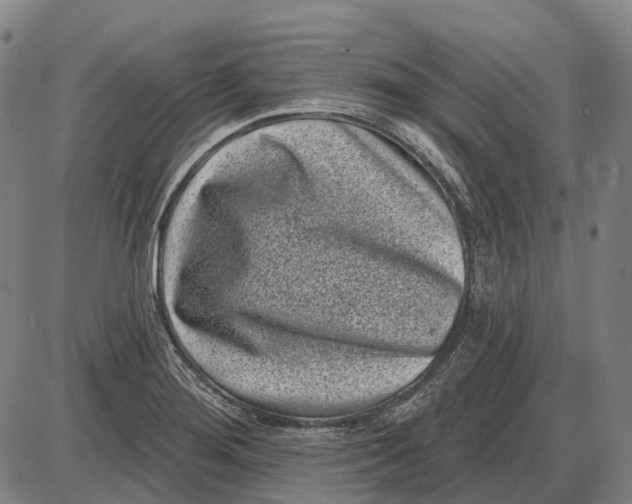 X0000085021276200703261211