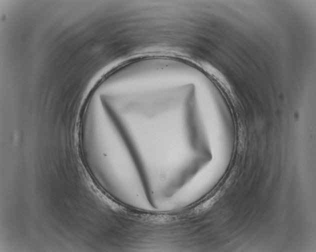 X0000085021288200703261211