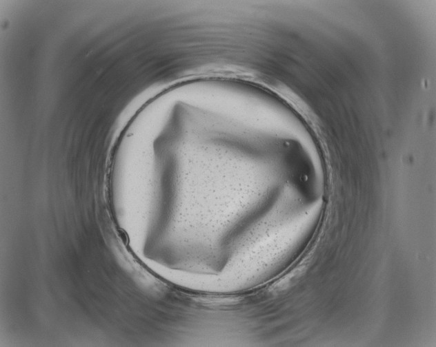 X0000085021296200703261211