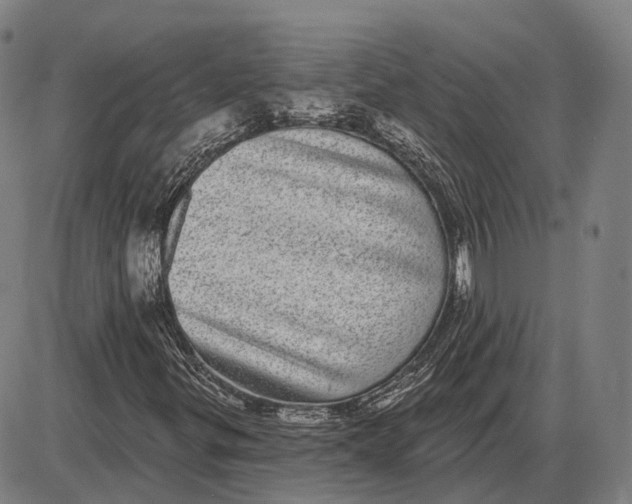 X0000085021299200703261210