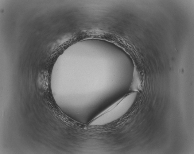 X0000085021301200703261210