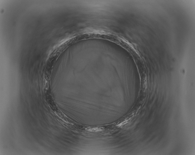 X0000085021303200703261210
