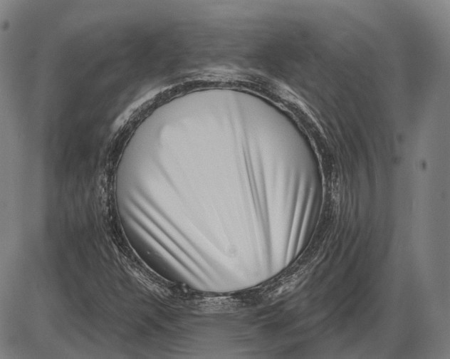 X0000085021304200703261210