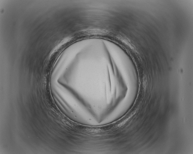 X0000085021309200703261210