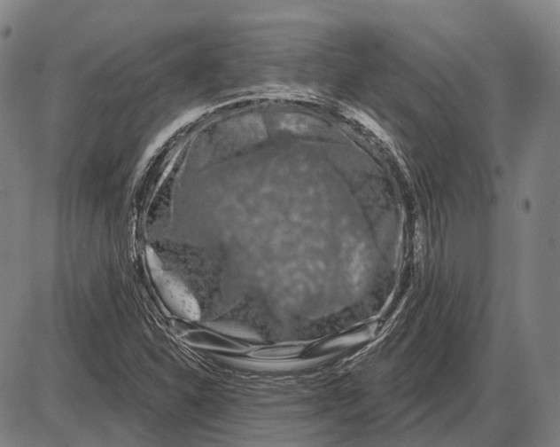 X0000085021310200703261210