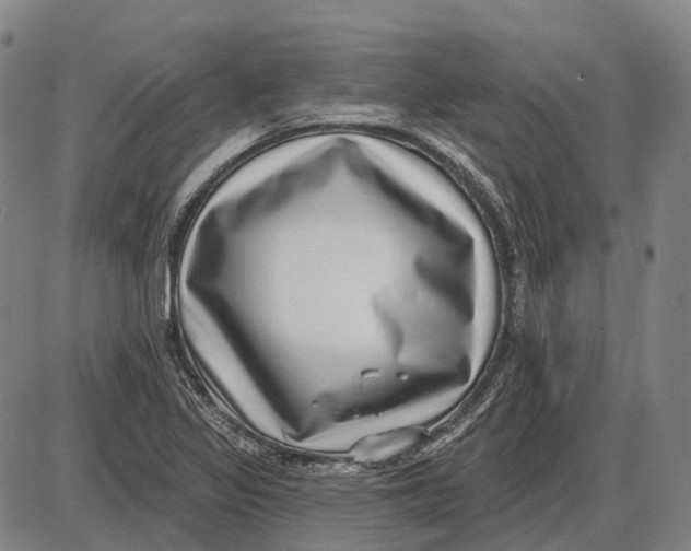 X0000085021317200703261210