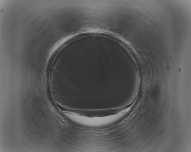 X0000085021319200703261210