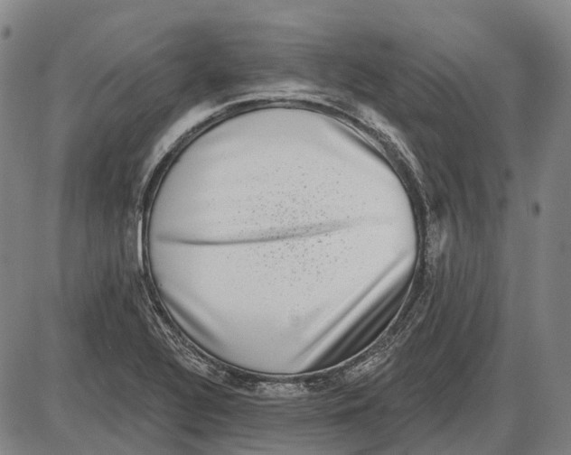 X0000085021320200703261210