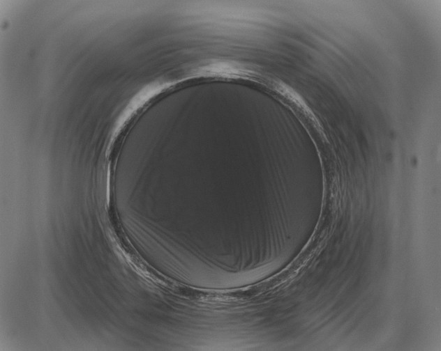 X0000085021323200703261210
