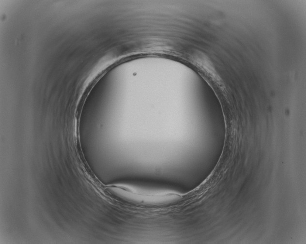 X0000085021324200703261211