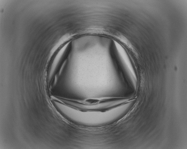 X0000085021325200703261211