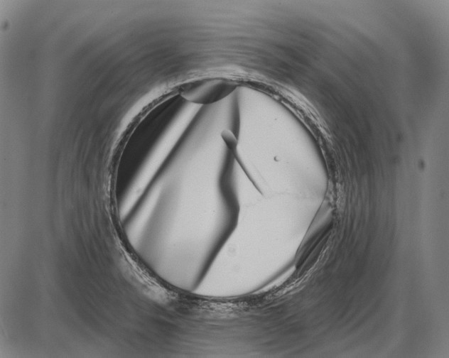 X0000085021326200703261211