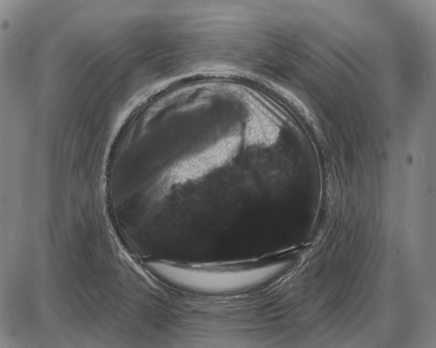 X0000085021327200703261211