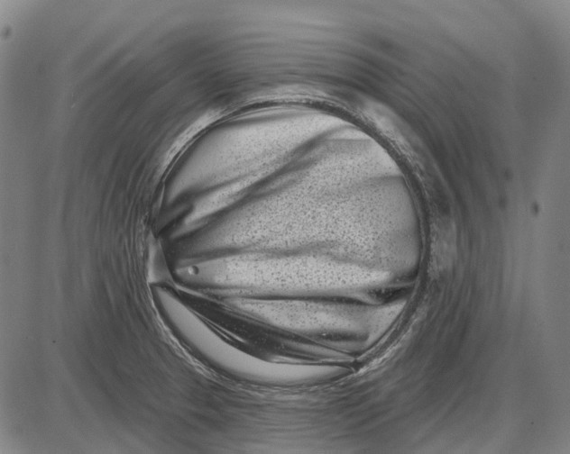 X0000085021329200703261211