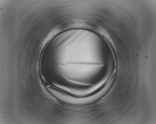 X0000085021330200703261211