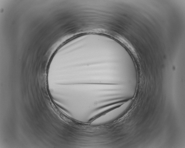 X0000085021332200703261211