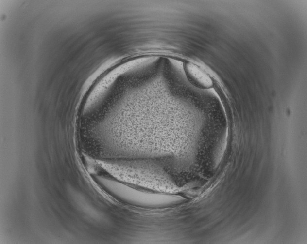 X0000085021333200703261211