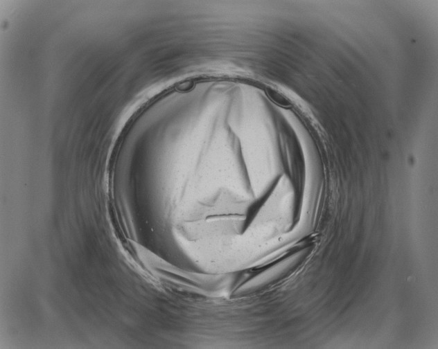 X0000085021335200703261211