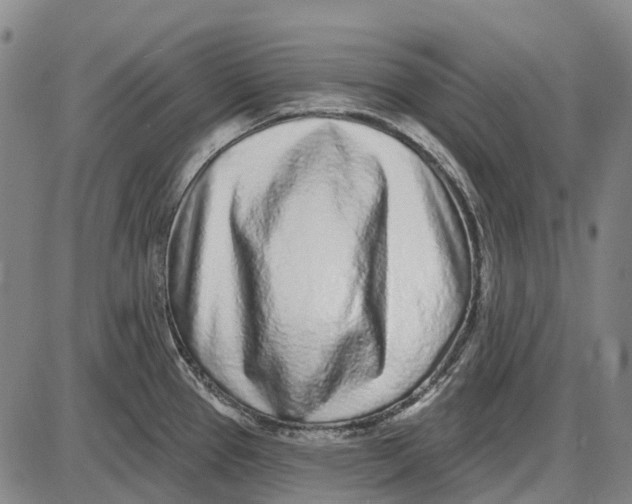 X0000085021337200703261211